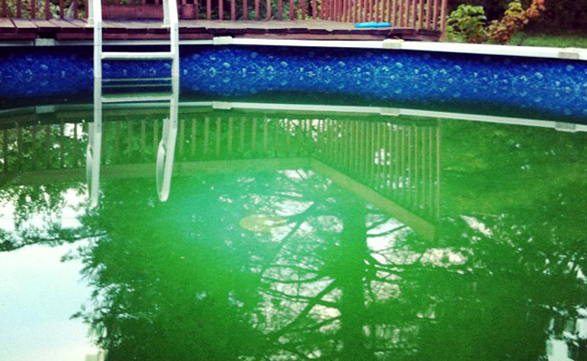 Pourquoi l’eau de la piscine devient-elle verte ?