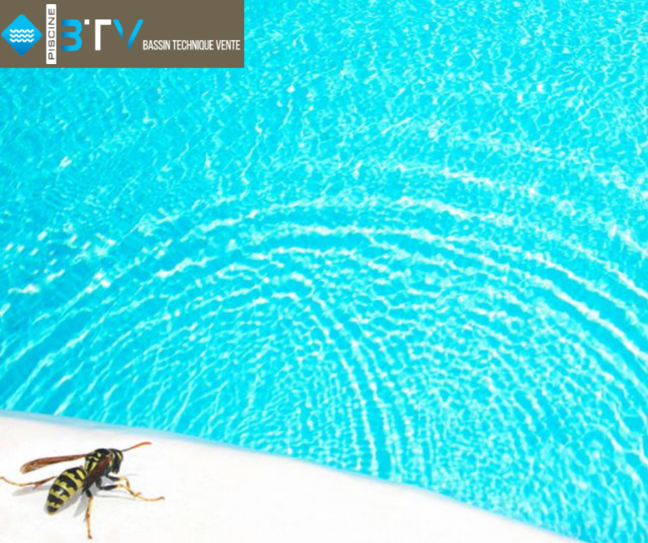 Comment garder les guêpes et les abeilles loin de la piscine